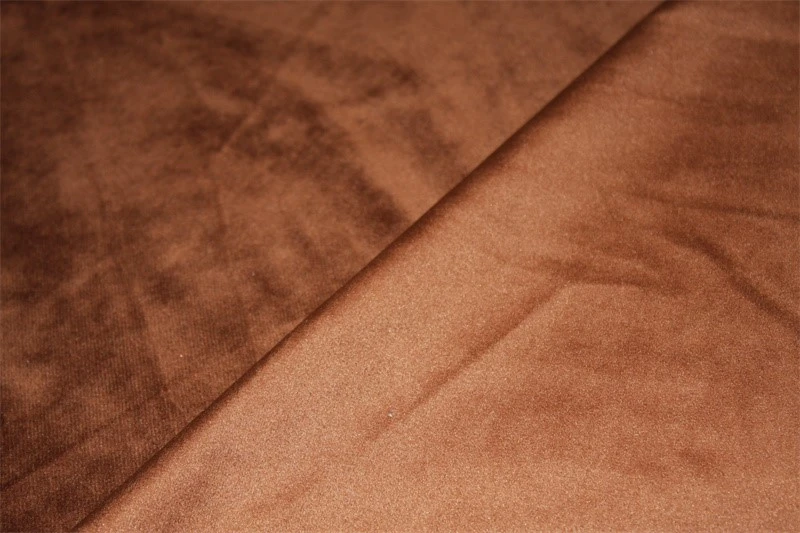 IMG0236 IMG0236